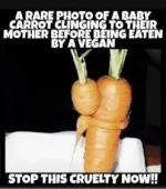 B0D2CD7F-C388-47F0-B561-EEB40BA44894.webp