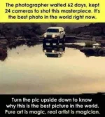 9815864A-D572-4B4F-BC81-9A82912E760F.webp