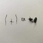 47A7E8EA-809B-4A73-A150-EC07BA8C4107.webp