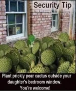 C0DA5739-1257-4E64-B1B8-4B4696837EB8.webp