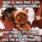 3685A2DA-3BA1-4390-8E54-F05A61FFC49C.webp