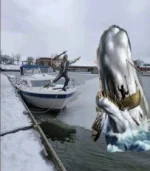 1765B515-0CA7-46BE-9E97-8484E8044D1D.webp