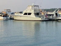 IMG_1604 (Medium).webp IMG_1604 (Medium).webp