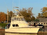 IMG_2394 (Medium).webp IMG_2394 (Medium).webp