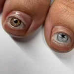 C5E784BB-AFDE-458E-B0B5-9E3959CCEE60.webp