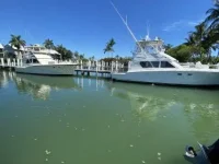 4D5F834F-E277-4036-ADD4-4C6198681077.webp