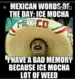 8220D704-A1A7-44FF-8399-433D7A4B9509.webp