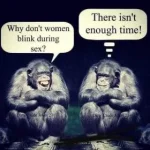 226B3B7C-B8E6-4BE3-9403-0FC79E75EBD3.webp