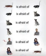 424841DF-174E-4BAE-A33B-50D2C5F4A7E7.webp