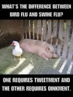 2F514F1A-A764-4974-99B7-095D45F3978D.webp