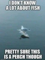 53C8C0D4-D627-4306-925E-09DF68D97643.webp