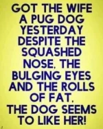 0F08BAF3-C63D-4731-9781-8902BA7F4EDD.webp