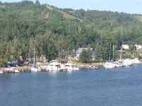 houghton.webp