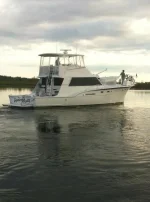 boat.webp
