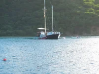 bvi0027.webp