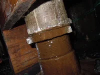 DSCN1637.webp