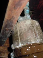 DSCN1639.webp