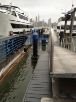 Sandy-4_web_8-50am.webp