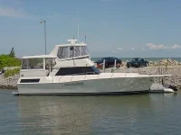 viking 1.webp