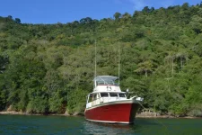 Mayaro 2010 - 2 290.webp