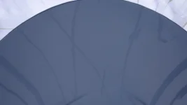 DSC01314.webp
