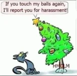 75D6146C-2523-41CA-AC41-5471AF397117.webp