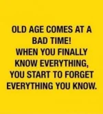 205223F6-537D-4C03-A709-BB289B3B658A.webp