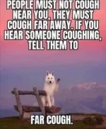 6677C057-4545-40F5-AB15-2C5EE7BBAA0C.webp