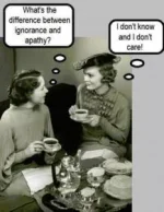 D0B52329-B71A-43F1-B3DB-0C49F82E6C9B.webp