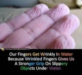 4B6596D7-4C01-4942-BE98-EB07FB79C939.webp