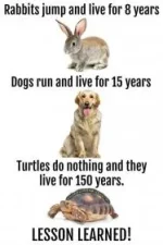 5FD80673-B9B6-4ED9-A0D6-341B7A06B584.webp