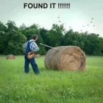 9779BC50-1D67-4379-9E4A-7DAA05C7F968.webp