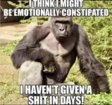 A11C9324-6B44-4206-BF8E-CF5577A735B6.webp