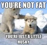 F929D698-8B00-450F-9559-F19533017193.webp