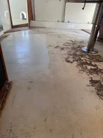 Aft Deck Carpet Removed 001.webp