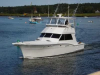 Sea Colt II 003.webp