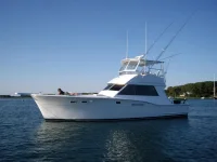 my boat.webp