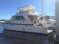 Yacht Fish.webp