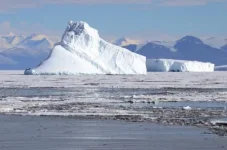 Iceberg_1847_alvl_ws.webp