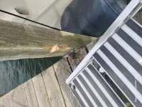 Pole Gouge from stairway.webp Pole Gouge from stairway.webp