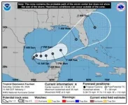 Screenshot 2024-10-05 at 11-09-50 TROPICAL DEPRESSION FOURTEEN.webp
