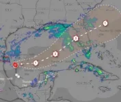 Screenshot 2024-10-05 at 19-08-49 Windy Milton - Hurricane tracker.webp
