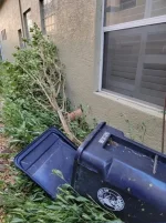 House Damage 001.webp House Damage 001.webp