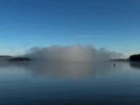 Fog2024.webp Fog2024.webp