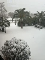 snow.webp