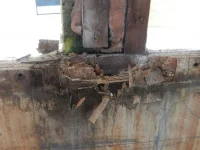 DSCN1496.webp