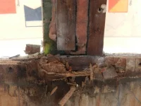 DSCN1502.webp