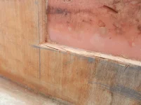 DSCN1504.webp
