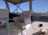 IMG-20131128-00143.webp