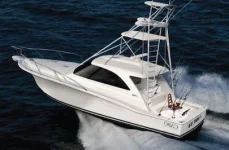 cabo44hardtopexpress.webp